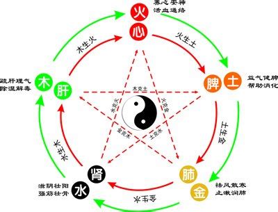 莉字五行|莉字的五行属性